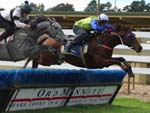 OAKBANK RACES